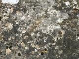 image of grave number 970233
